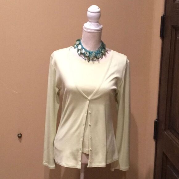 Beautiful Soft Green Silk Twinset - Picture 1 of 4